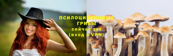 бошки Лагань