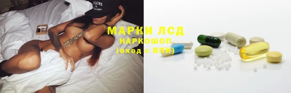 бошки Лагань