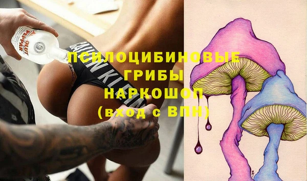 бошки Лагань
