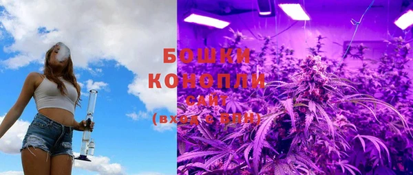 бошки Лагань