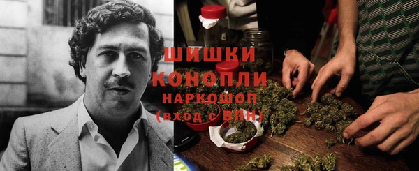 бошки Лагань