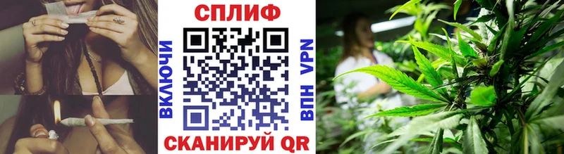 Купить закладки  Югорск  Конопля марихуана 